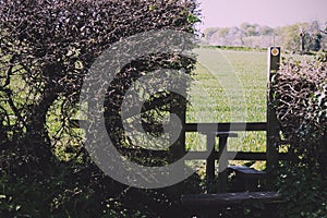 Wooden country stile in a hedge leading to field Vintage Retro F