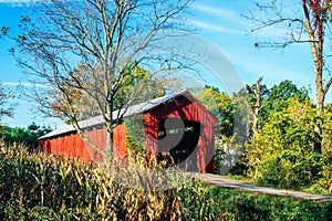 A Wooden Covered Bridge in the countyside of rural America