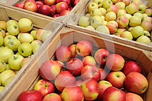 Wooden crate box full of fresh apples