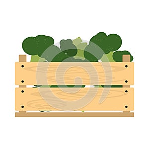 Wooden crate with broccoli