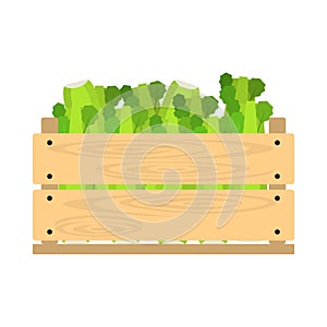 Wooden crate with celery