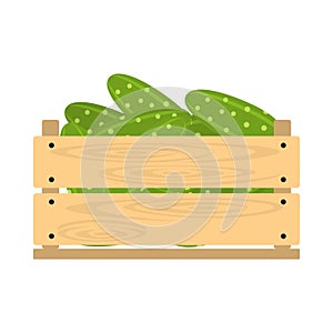 Wooden crate with cucumbers