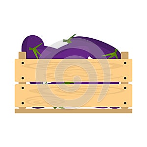 Wooden crate with eggplants