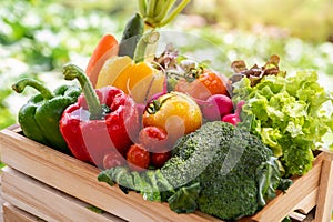 Wooden crate filled with fresh organic vegetables in morning light