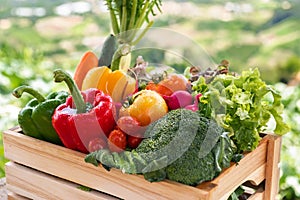 Wooden crate filled with fresh organic vegetables