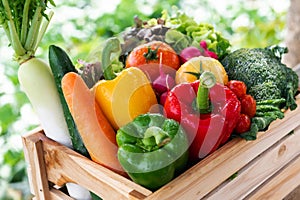 Wooden crate filled with fresh organic vegetables