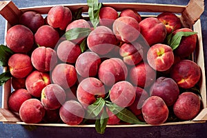 Wooden crate with fresh sweet peaches