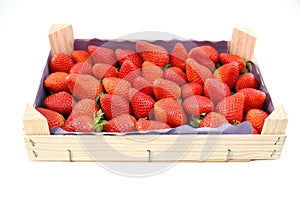 Wooden crate full of freshly harvested strawberries on white background.