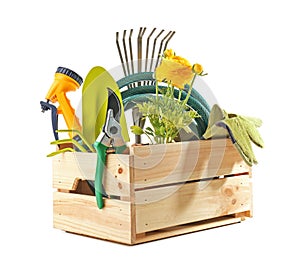Wooden crate with gardening tools and plant on white background