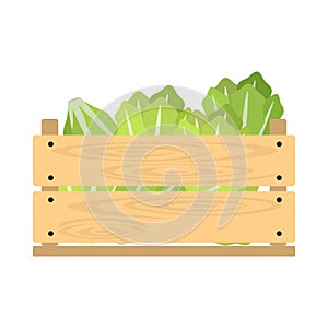 Wooden crate with lettuce