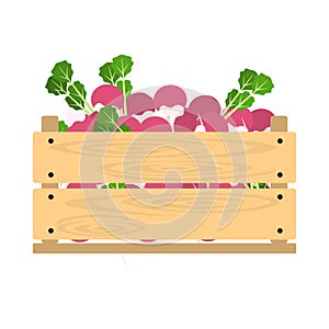 Wooden crate with radish