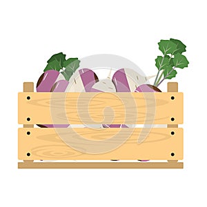 Wooden crate with turnip