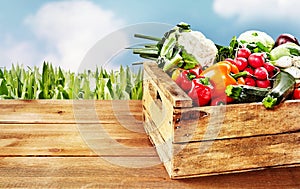 Wooden crate with vegetables in crate
