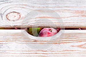 Wooden crates filled with red ripe apples ready for export or juice press