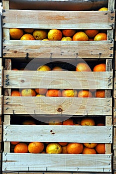 Wooden crates with oranges photo