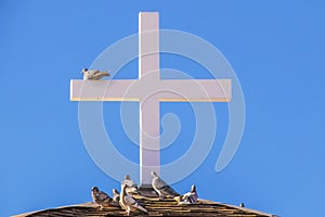 Wooden cross on roof against very blue sky with pigeons perching on it and below - close-up