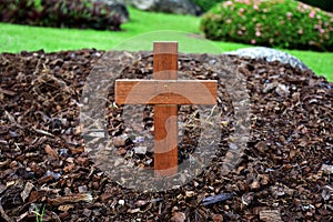 A wooden cross rose to the ground with natural background,