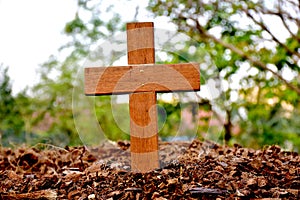 A wooden cross rose to the ground with natural background,