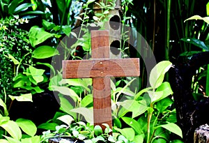 A wooden cross rose to the ground with natural background,