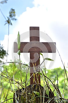 A wooden cross rose to the ground with natural background,