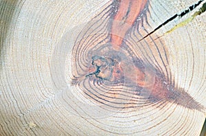 Wooden cross section