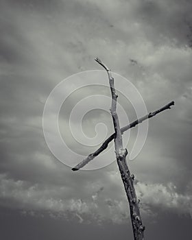 a wooden cross is standing against a dark cloudy sky background
