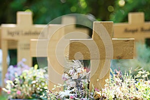 wooden crosses in a pauper\'s cemetery photo