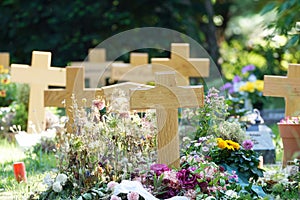 wooden crosses in a pauper\'s cemetery photo