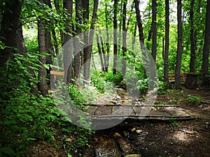 Wooden crossing over a stream in a mountain forest