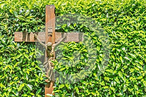 Wooden crucifix with INRI written on it in front of a hedge with green leaves