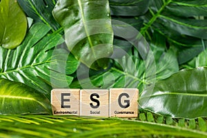 Wooden cube with text ESG background beautiful natural greenery of the rainforest. ESG concept of environmental, social and,