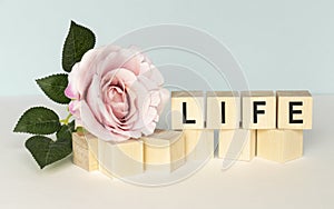 wooden cube whit the inscription: Life, with pink tulips on the white background. Safe life. Protection of life.