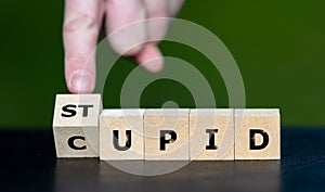 Wooden cubes form the words \'cupid\' and \'stupid.
