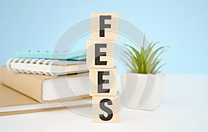 Wooden cubes with letters on a white table. The word is FEES. White background with photo frame