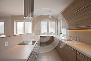 Wooden cupboards in beige kitchen