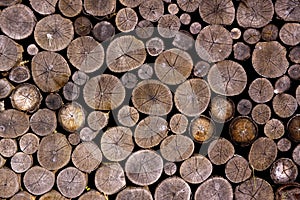 Wooden cut texture