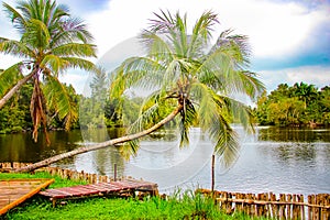 Wooden dam and palms in traditional indian village Boca de Guama Nature Reserve photo