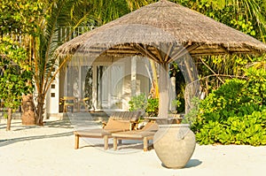 Wooden deck chairs under a palm tree umbrella on a sandy exotic beach with tall palm trees