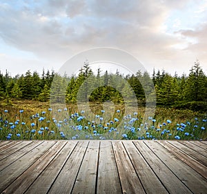 Wooden deck with forest trees and flowers