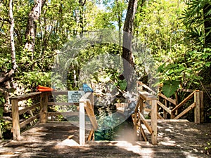 Wooden deck leads to the entrance to Paradise Springs, Ocala, Florida