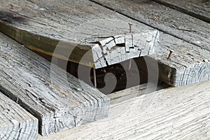 Wooden Deck Plank Warped And Curling Up photo