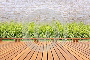 Wooden decking or flooring and plant in garden decorative