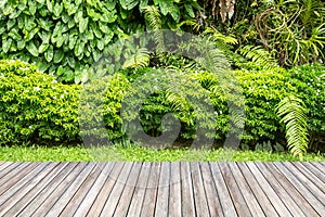 Wooden decking and plant garden.