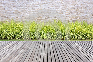 Wooden decking and plant with wall garden decorative