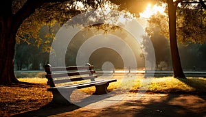 Wooden decorative bench in a city park against the backdrop of trees, sunrise morning leisure