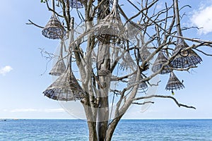 Wooden, decorative lamps hang on an old tree on a tropical beach near the sea water in Thailand, close up