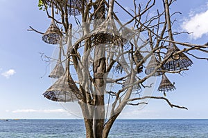 Wooden, decorative lamps hang on an old tree on a tropical beach near the sea water in Thailand, close up