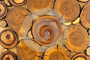 Wooden decorative panel made from round cuts of wood