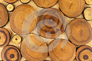 Wooden decorative panel made from round cuts of wood