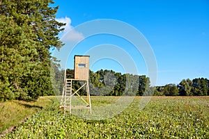 Wooden deer hunting blind.